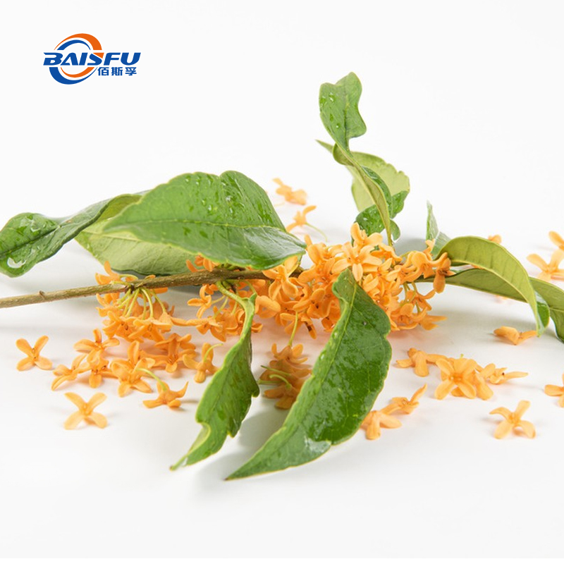 1716866483574912.jpg 49-----桂花OSMANTHUS-02.jpg
