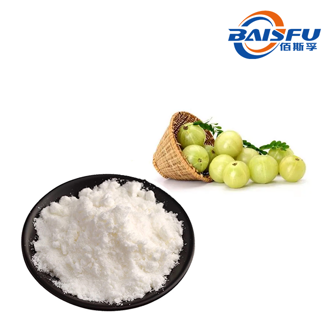 1716965272856547.png 油柑2.png