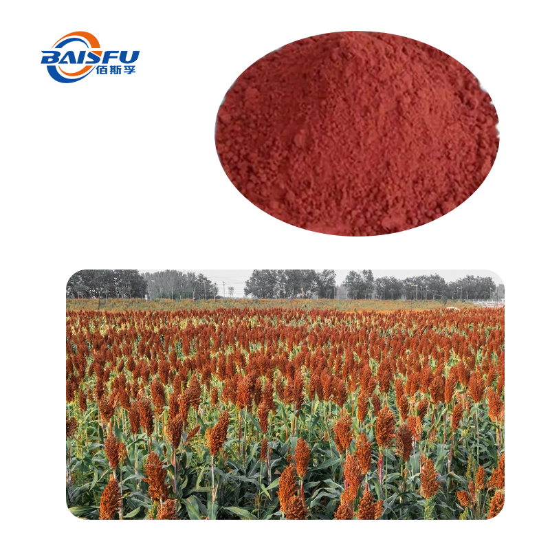 23-高粱红Sorghum-Red-03.jpg