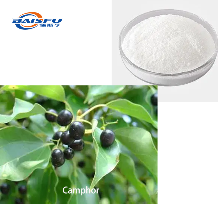 1719883708172965.png Camphor.png