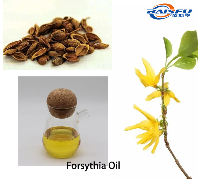 1719907695232553.png Forsythia Oil 2.png