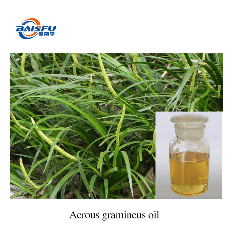1719909811168286.jpg A27-石菖蒲油-Acrous-gramineus-oil-02.jpg
