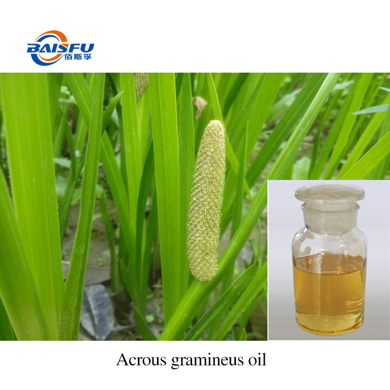 1719909847475321.jpg A27-石菖蒲油-Acrous-gramineus-oil-03.jpg