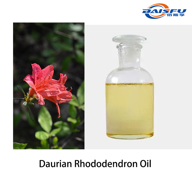 1719912527584317.png Daurian Rhododendron Oil.png