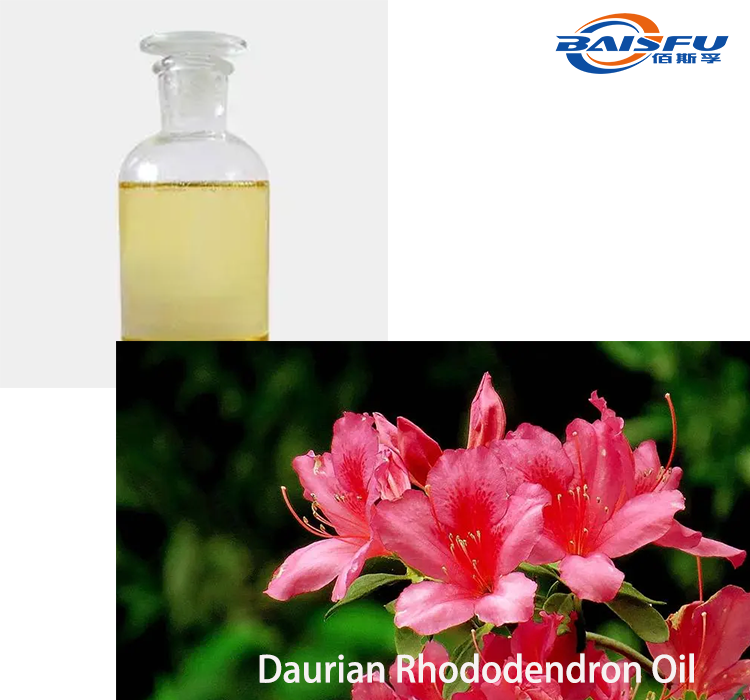 1719912559589684.png Daurian Rhododendron Oil 2.png