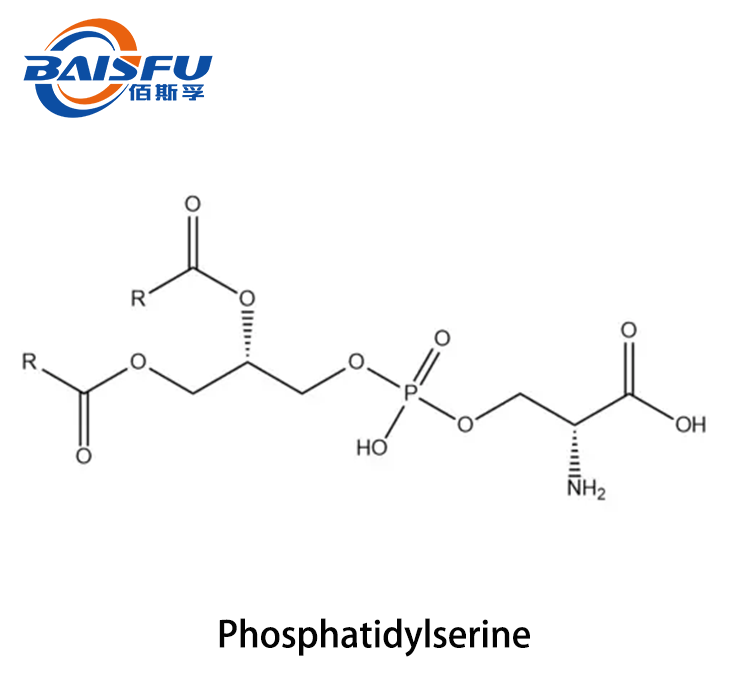 1719972019522224.png Phosphatidylserine 2.png
