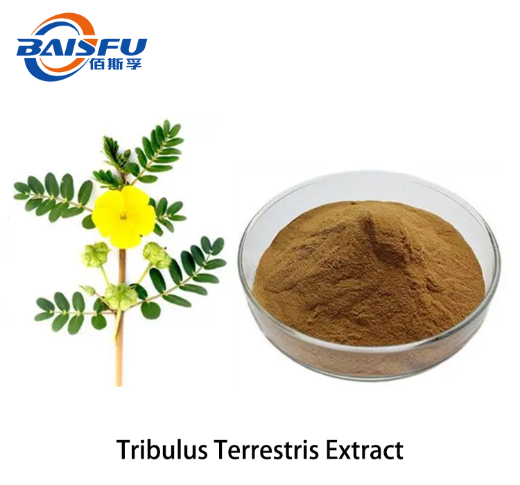 1719977203956736.png Tribulus Terrestris Extract 2.png