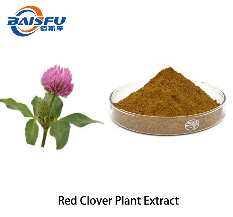 1720000120322423.png Red Clover Plant Extract 2.png