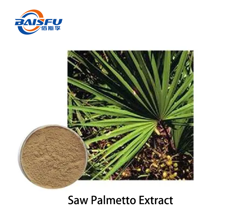 1720401417373653.png Saw Palmetto Extract.png