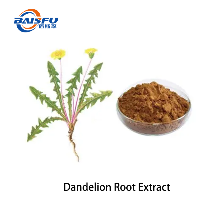 1720403120390775.png Dandelion Root Extract 2.png
