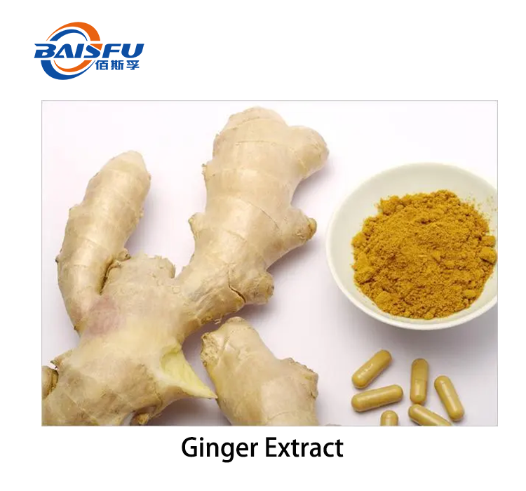 1720407648431714.png Ginger Extract 2.png