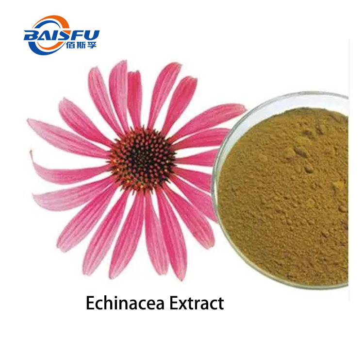 1720410156840659.png Echinacea Extract 2.png