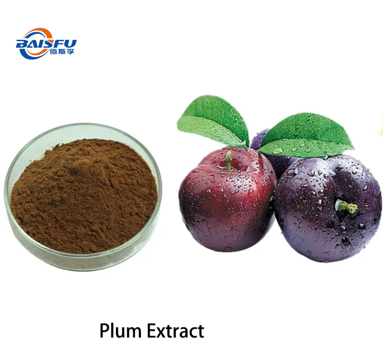1720774853337821.png Plum Extract 2.png