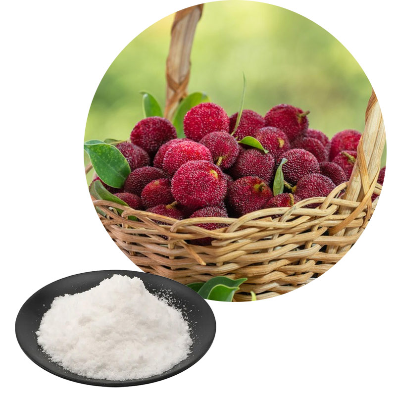 1758849123906079.jpg 1758849123906079.jpg