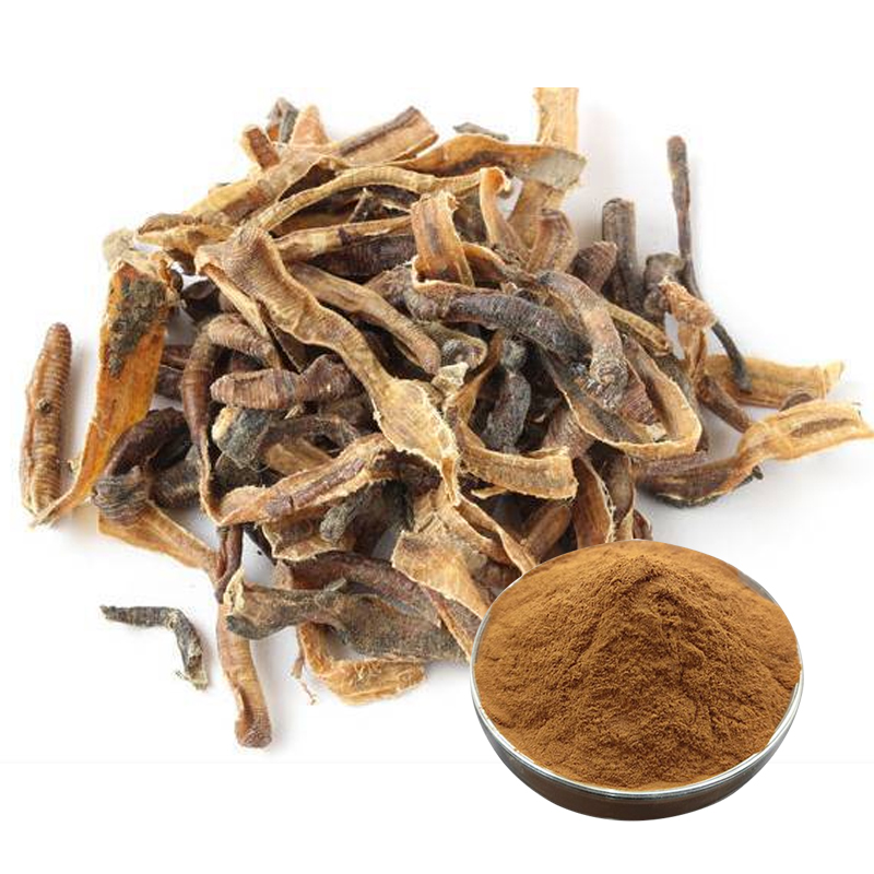 76-地龙提取物-Pheretima-extract--02.jpg