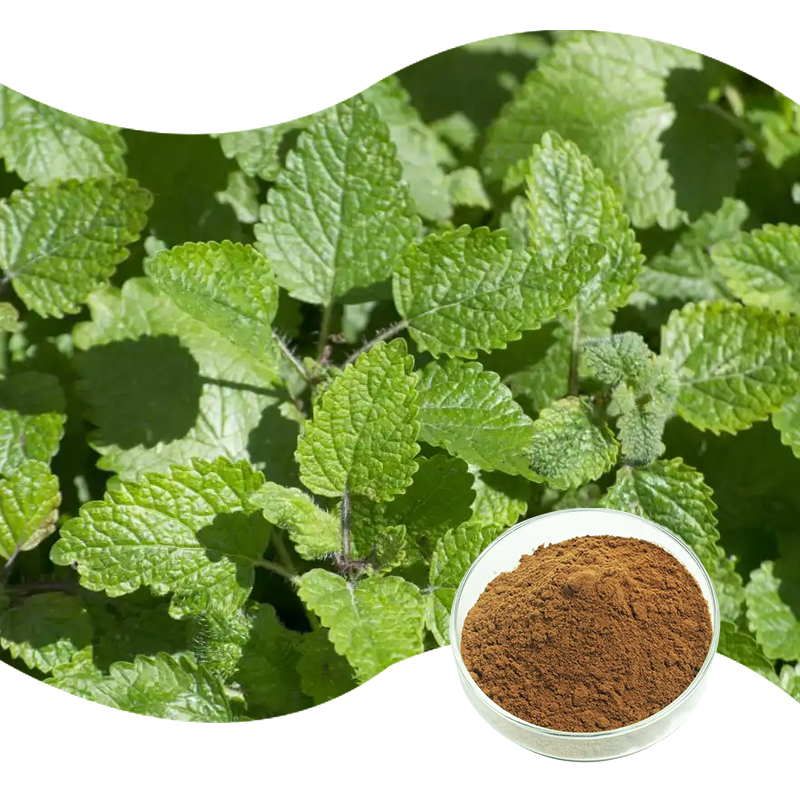 79-蜜蜂花提取物-Lemon-Balm-P.E-02.jpg