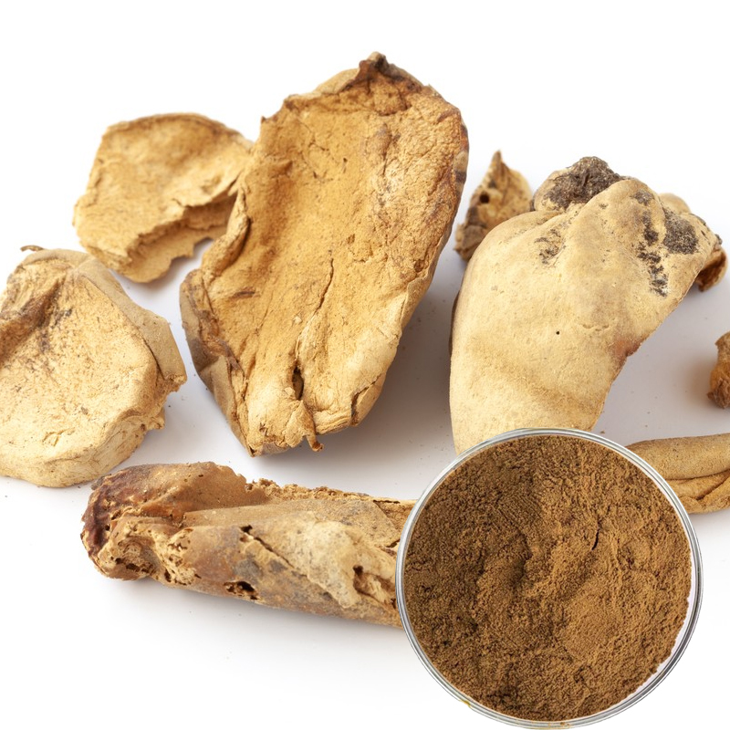 1764123750661010.jpg 122-马勃提取物-Lasiosphaera-Extract-02.jpg