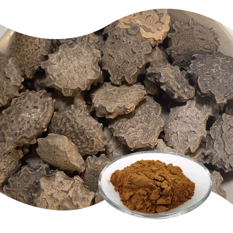 1764300635488456.jpg 130-木鳖子提取物-top-Cochinchina-Momordica.P-02.jpg