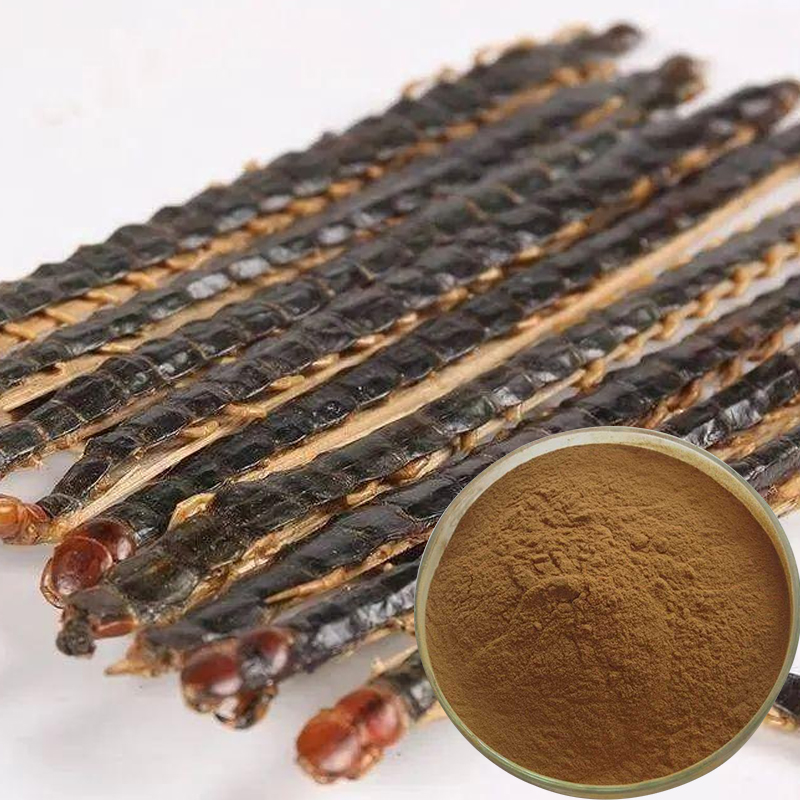 139-蜈蚣提取物-Scolopendra-P-02.jpg