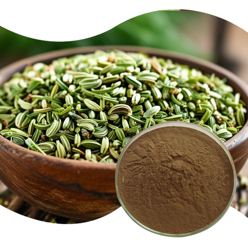 141-茴香提取物-fennel-extract-02.jpg