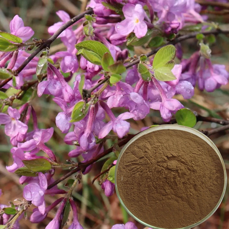 144-芫花提取物-Lilac-Daphne-Flower-Bud-Extract-Powder-03.jpg