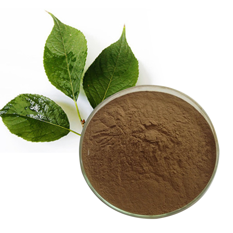 154-杜仲叶提取物-top-quality-Eucommia-leaves-extract-02.jpg