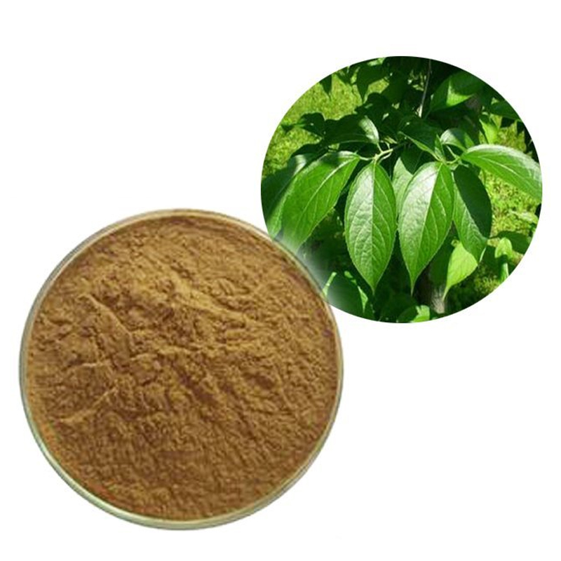 154-杜仲叶提取物-top-quality-Eucommia-leaves-extract-033.jpg