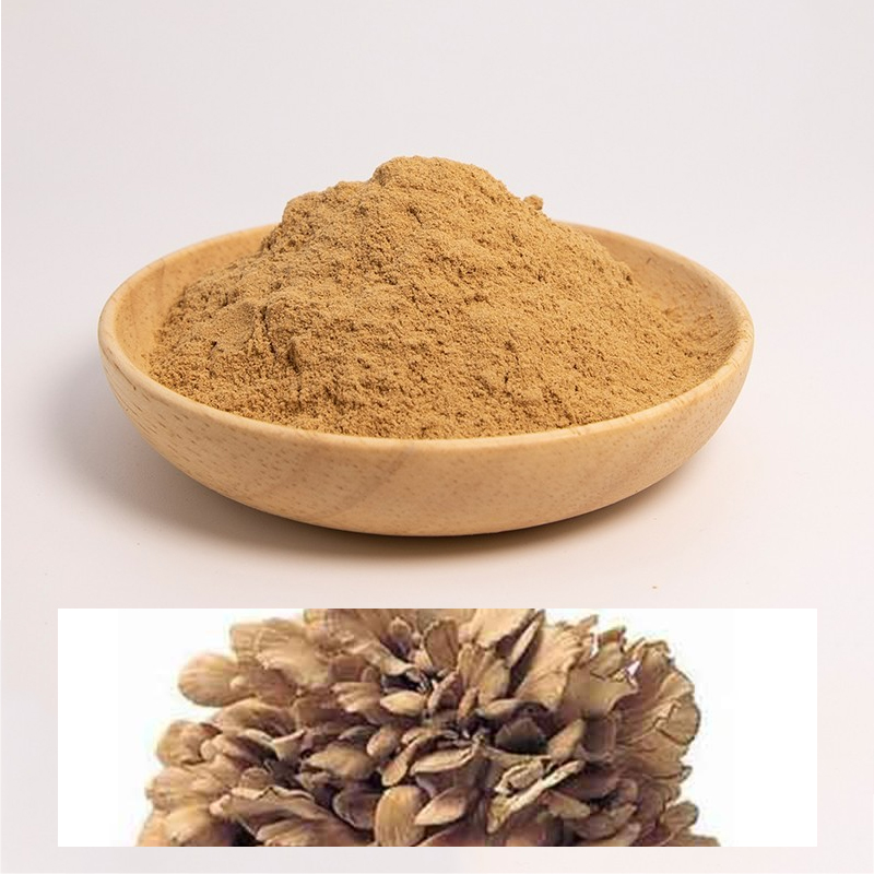 160-灰树花提取物-Grifola-frondosus-P-02.jpg