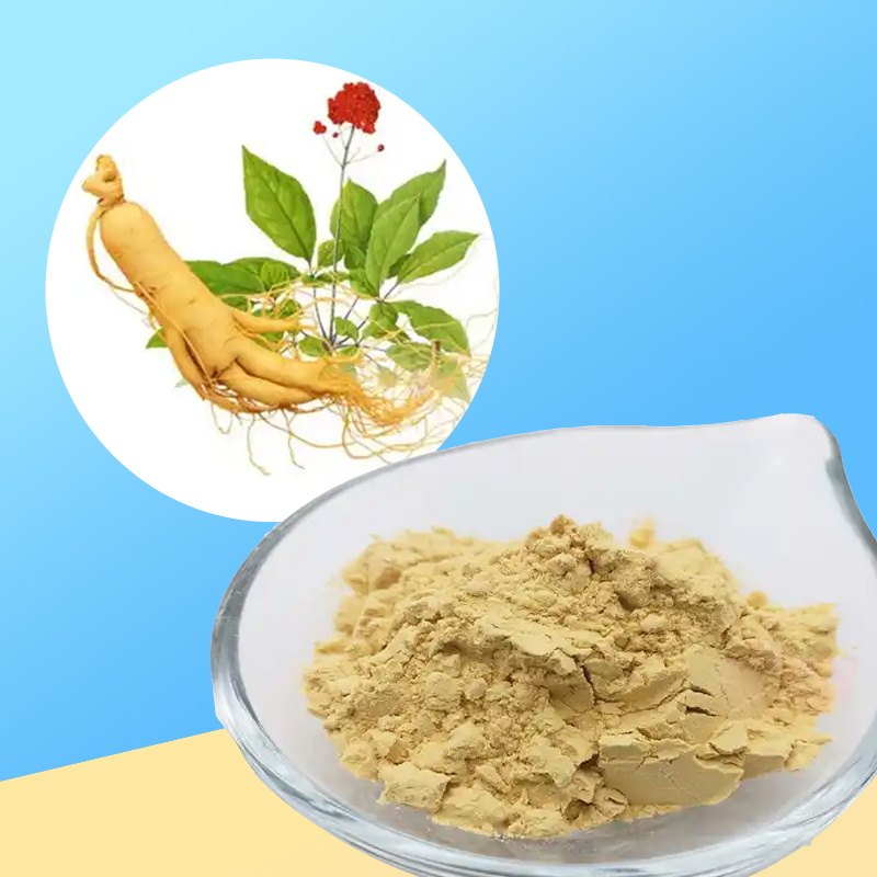 167-人参提取物总皂苷80%UV (1).jpg