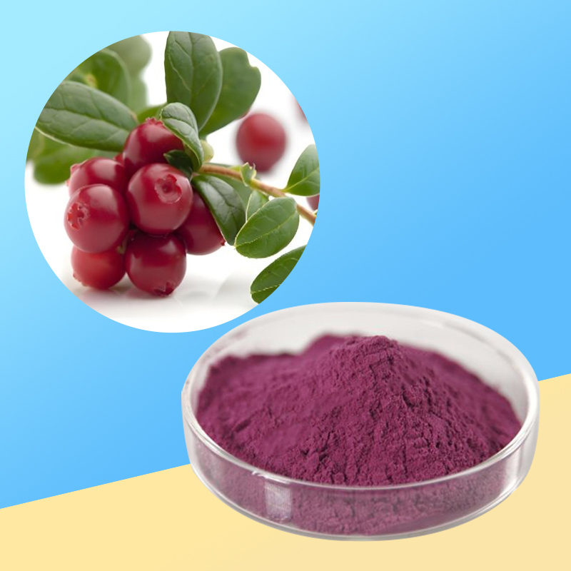 1767863227919231.jpg 220-越橘提取物-Bilberry-extract-02.jpg