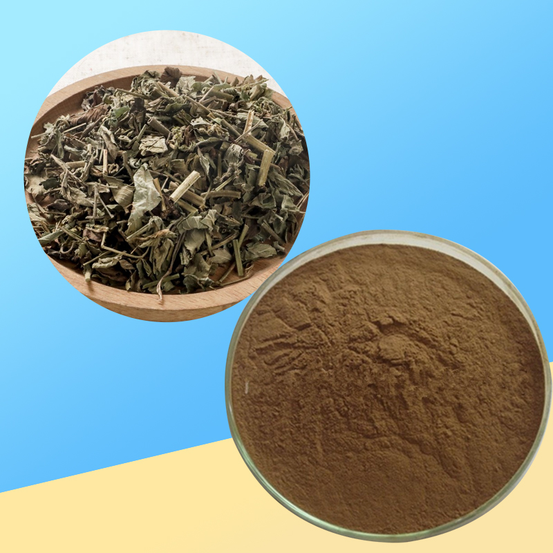 1768443542341224.jpg 233-仙鹤草提取物-Hairyvein-Agrimonia-Herband-Bud.P-02.jpg