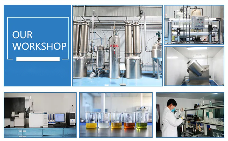 Baisfu Biotech innovatively launched Vanillin butyl ether, leading a new trend in food flavors
