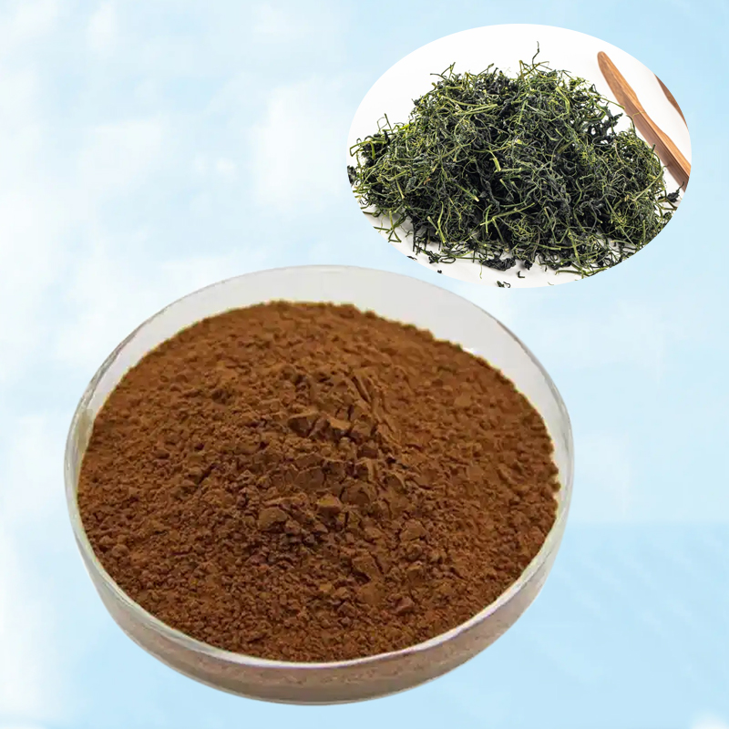 Baisfu Pure Plant Extract Gynostemma Cosmetic Raw Material Yellowish Powder Gynostemma Leaf CAS NO.15588-68-8 for nutritional supplement