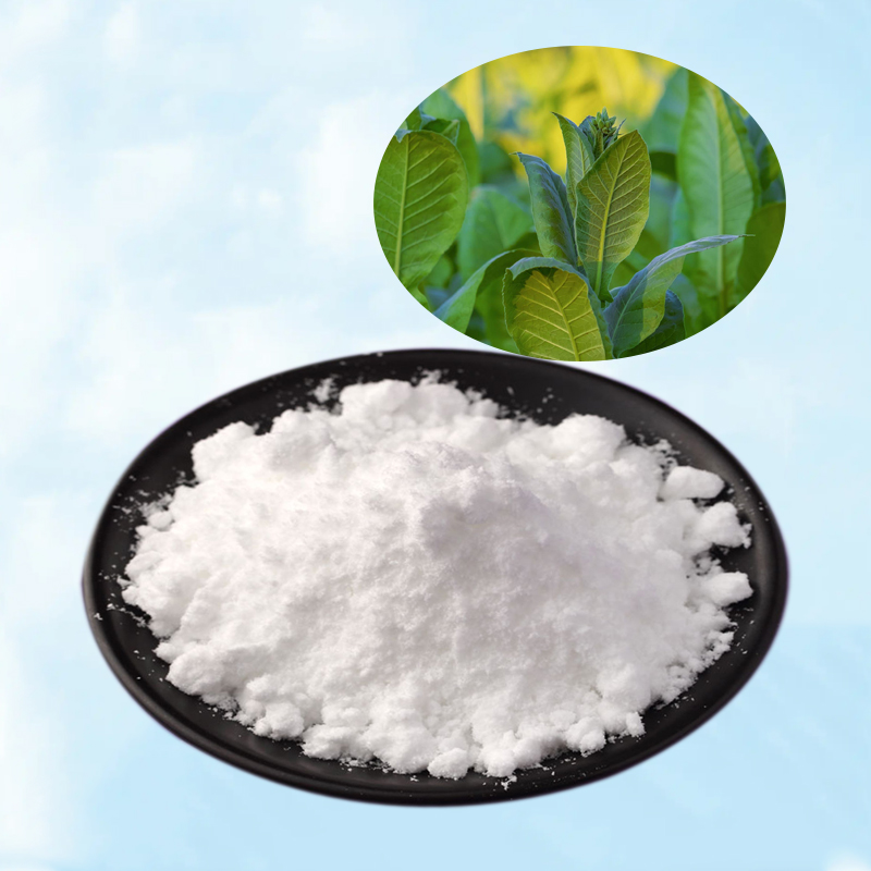 Baisfu  Natural Solanesol 98% Tobacco Leaf Extract Solanesol Extract  Powder CAS 13190-97-1 used in Daliy Products