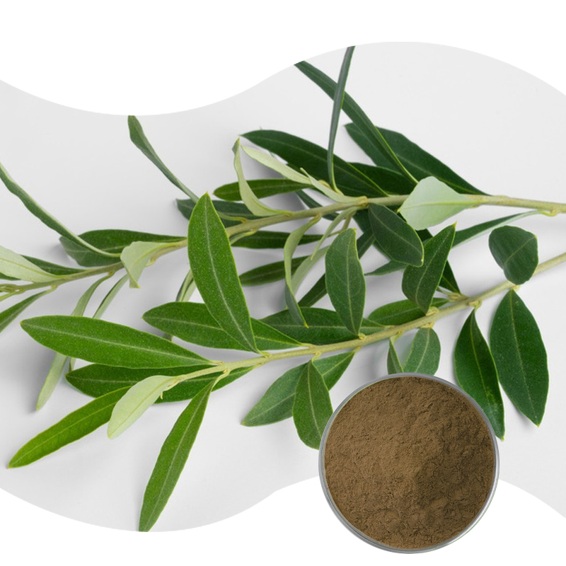 Baisfu high quality Olive leaf extract Powdered has widely added into the beverage and cosmetics as the functional content.