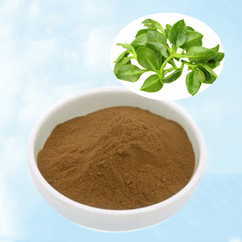 Baisfu Natural Herb plant extract Andrographis Paniculata Extract 98% Light Brown powder  used in Food and medicine