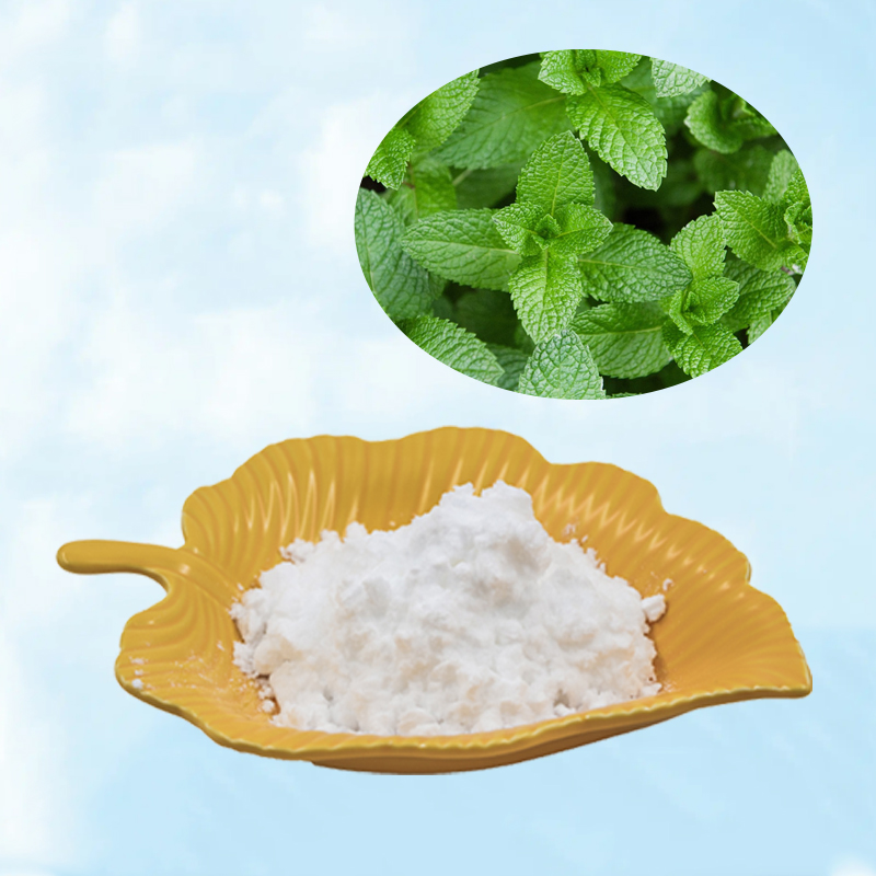 Baisfu Plant extract white fine powder Mentha haplocalyx Brip Peppermint Extrac used in food and beverage