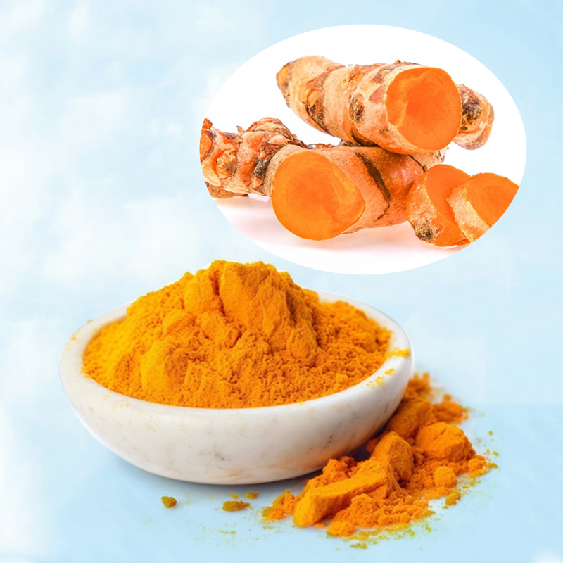 Baisfu pure plant Curcumin P.E. Yellow Powder Turmeric / Curcumin Natural Pigment Food Flavo Curcumin extract CAS 458-37-7 Used In Cosmetics