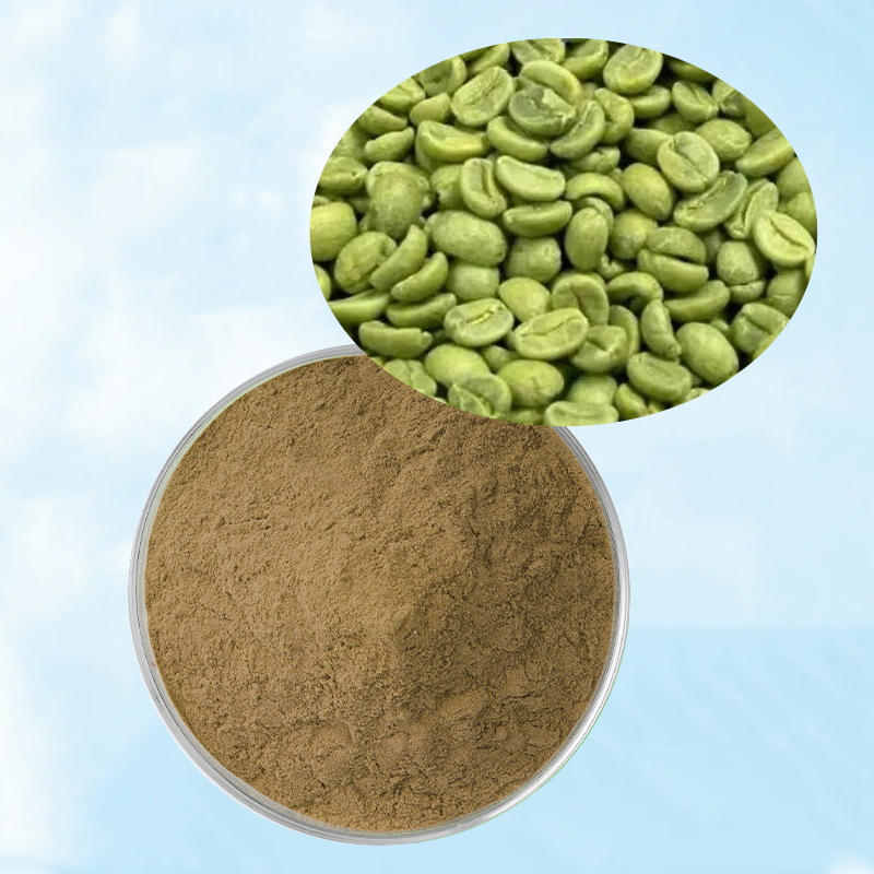 Baisfu High Quality HoneySuchle Flowers Extract Cas: 327-97-9 Chlorogenic Acid, P.E. Honeysuckle Essence Powder / Liquid for food additive