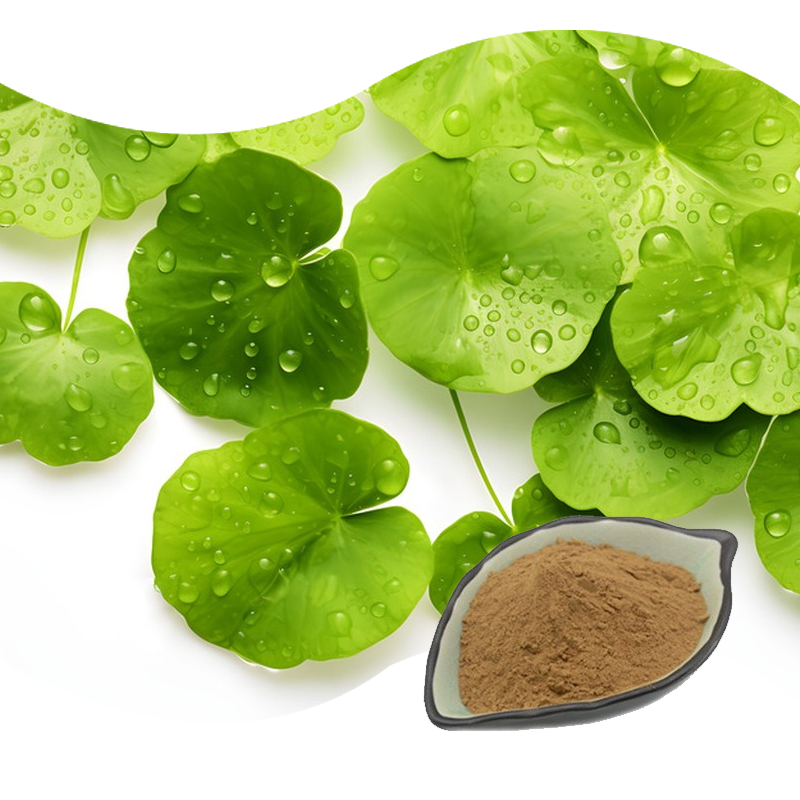 Baisfu Plant Extract Powder Natural Asiaticoside Used In cosmetics