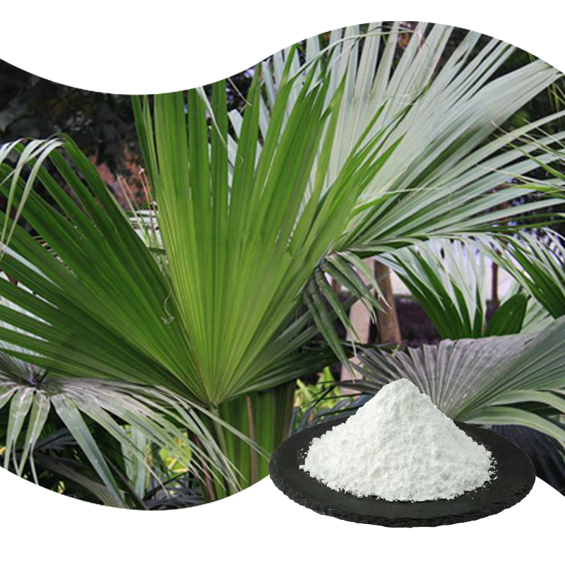 Baisfu Saw Palmetto Extract Powder white powder Saw Palmetto P.E. 98%  CAS 84604-15-9 for food and medicine