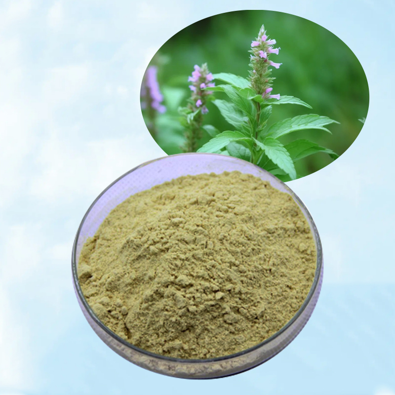 Baisfu High quality yellow Powder Yellow flavonoid Top Luteolin CAS:491-70-3 used in cosmetics
