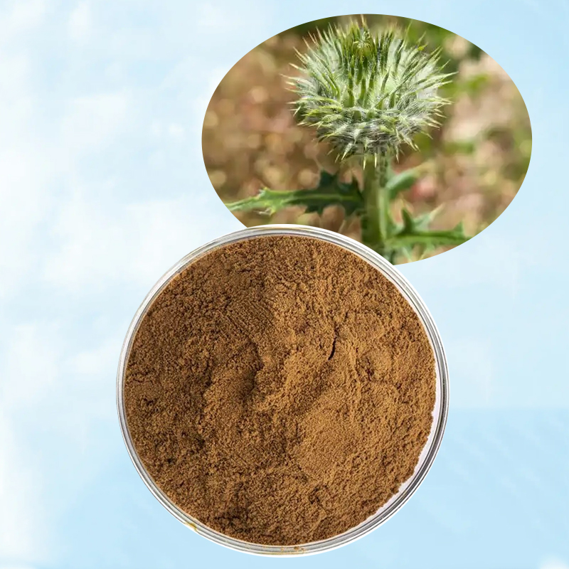 Baisfu pure plant extract Brown fine powder Tribulus Terrestris P.E used in food additives