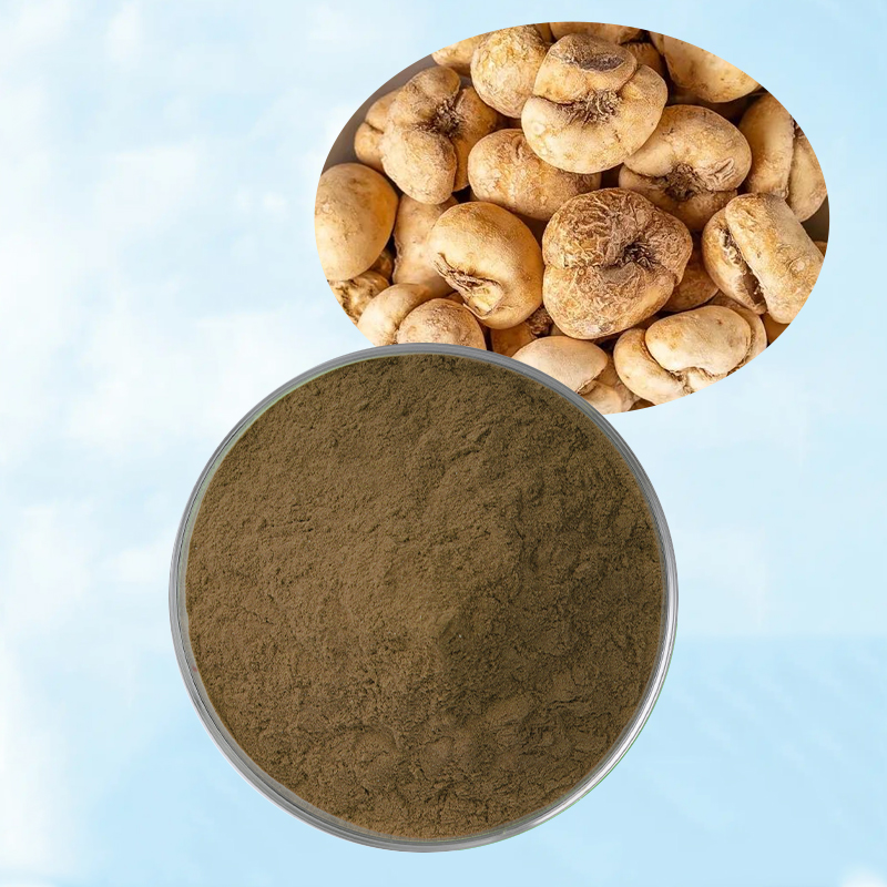 Baisfu pure plant extract Brown powder Thunberg Fritillary Bulb Pale  powder for officinal