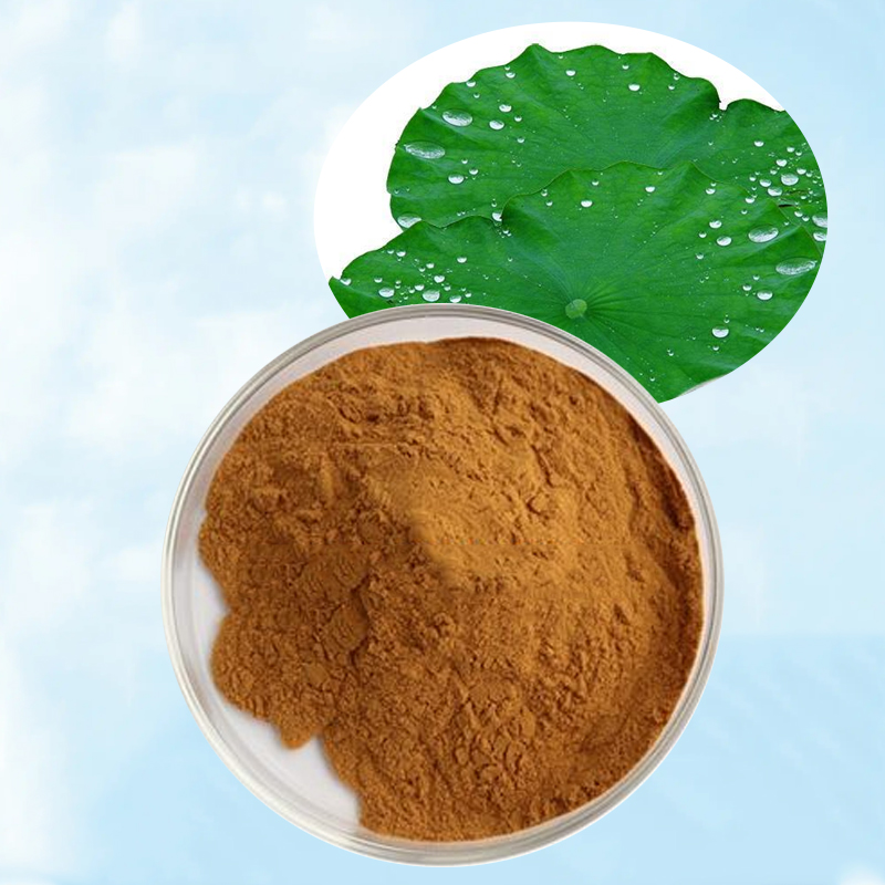 Baisfu high quality Brown yellow powder Lotus Leaf P.E. Nuciferine for food and health care products