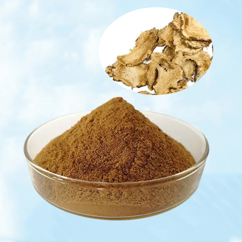 Baisfu Pure natural concentrated Yellowish-brown Powder Radix Angelicae Pubescentis P.E. Root 10:1 use in health care products