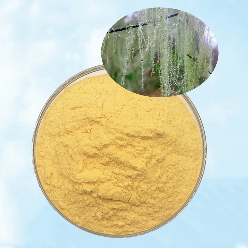 Baisfu pure natural Specifications 98% pale yellow powder Usnic Acid Powder CAS 125-46-2 For  antibacteria agent in cosmetics and ointments