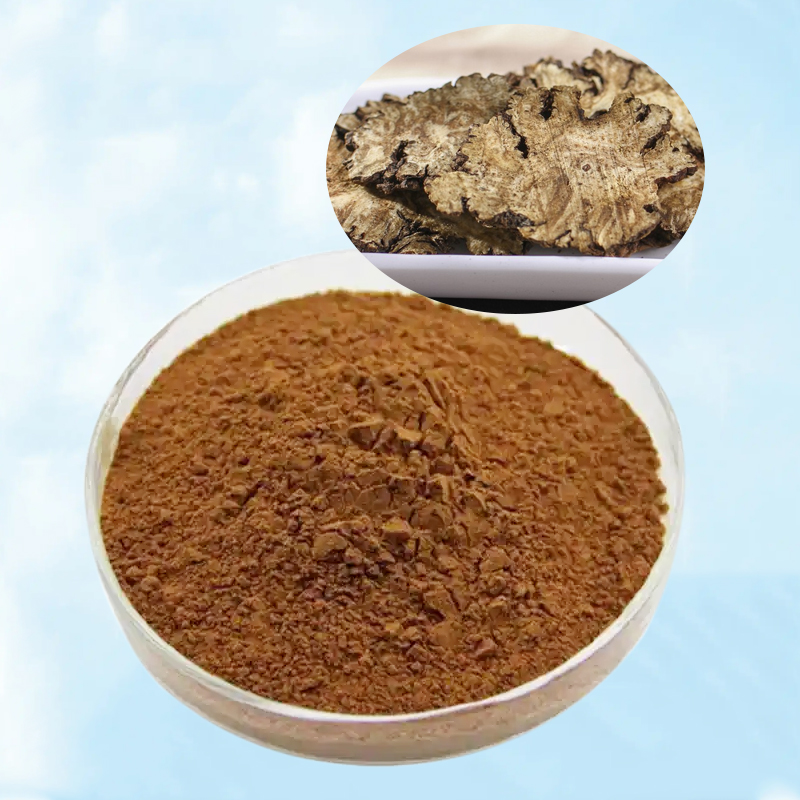 Baisfu plant extract Specification 98%  Rhizoma Chuanxiong Extract powder brown powder Ligusticum Hort for Cosmetics and health supplements