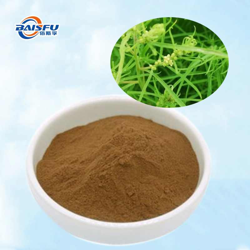 Baisfu Natural Fructus kochiae P.E/fructus kochiae extract Brown fine powder for medicine and food additive