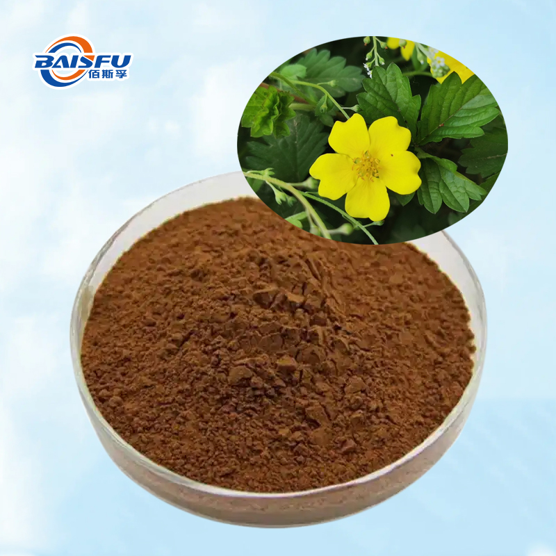 Baisfu best qualityCinquefoil Herb.P.E natural brown fine powder for food and medicine